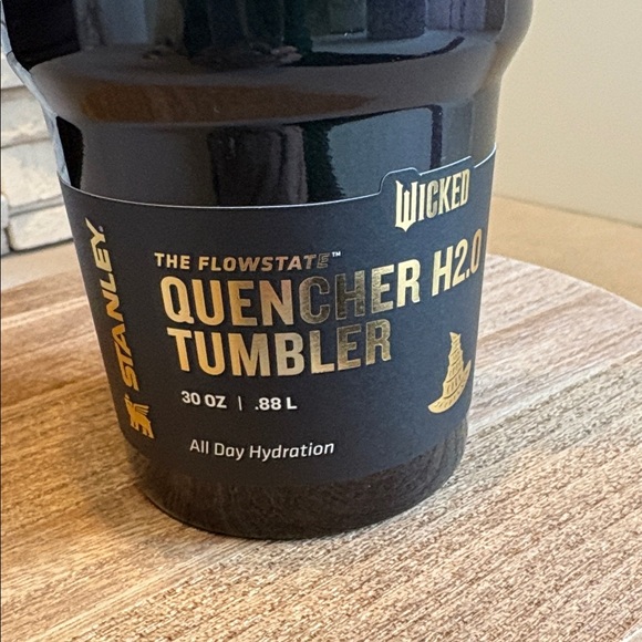 New Stanley Wicked 30 oz Stainless Steel H2.O Tumbler Elephaba for Good - Picture 4 of 9